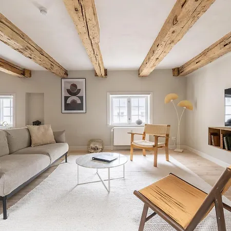 Stylish Loft In The Heart Of Cph 公寓 *