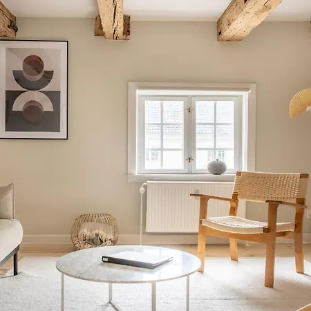 Stylish Loft In The Heart Of Cph 公寓 *