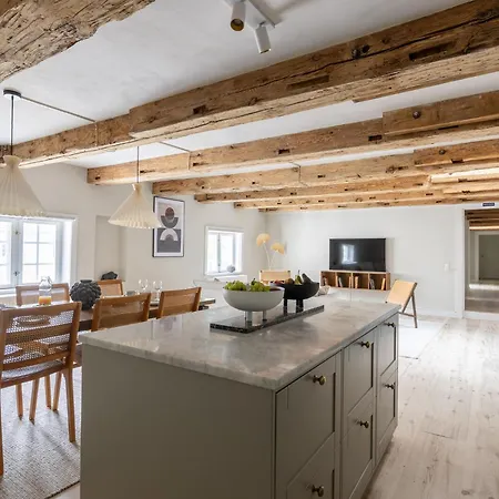 公寓 Stylish Loft In The Heart Of Cph