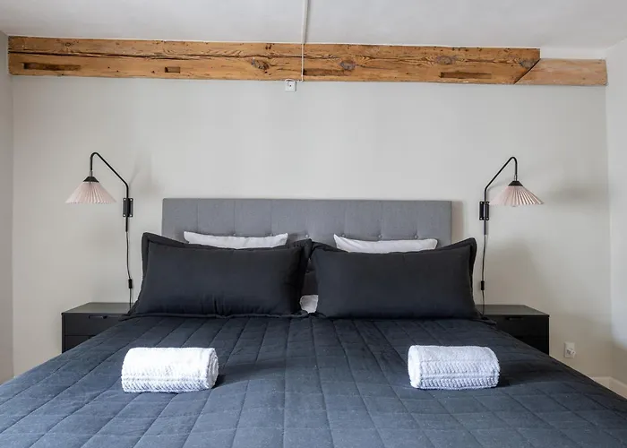 Apartament Stylish Loft In The Heart Of Cph