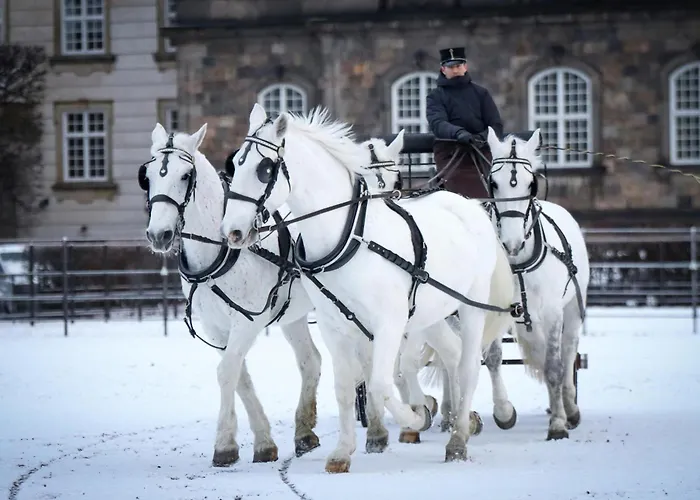 Stylish Loft In The Heart Of Cph * Kopenhaga